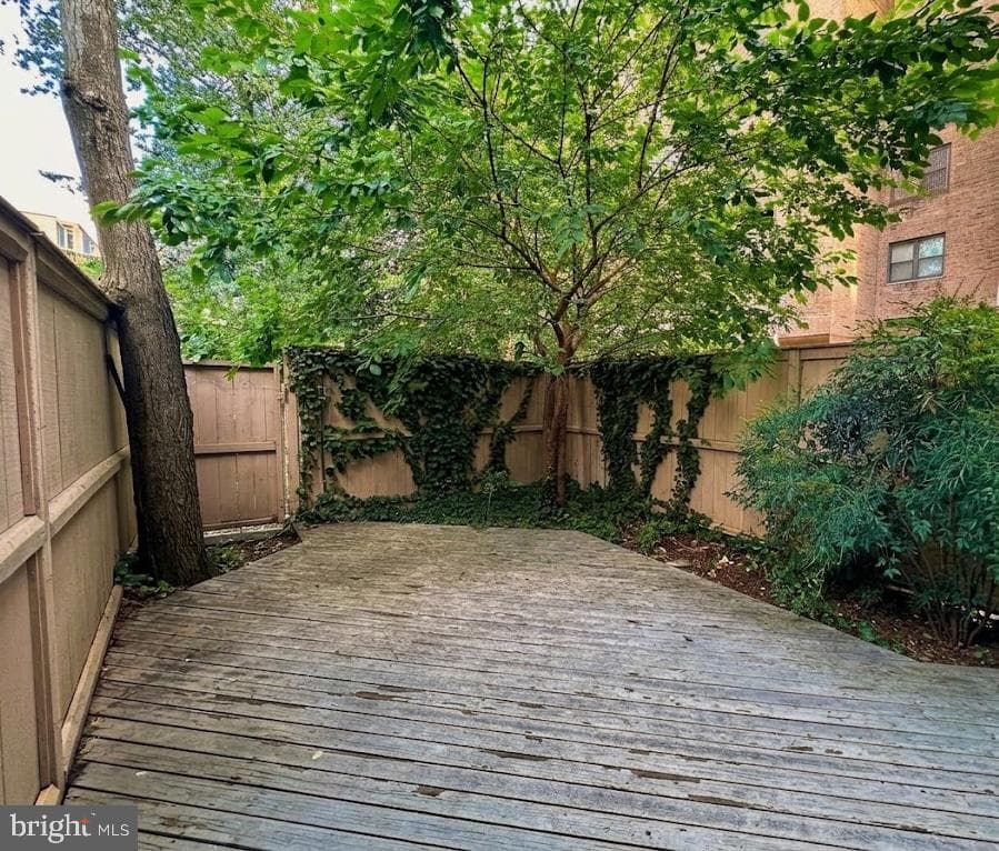 292 M Street SW #292 photo 18