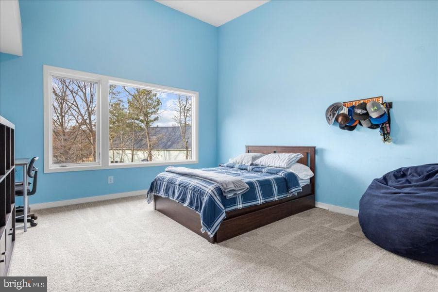 308 Cockey Drive photo 28