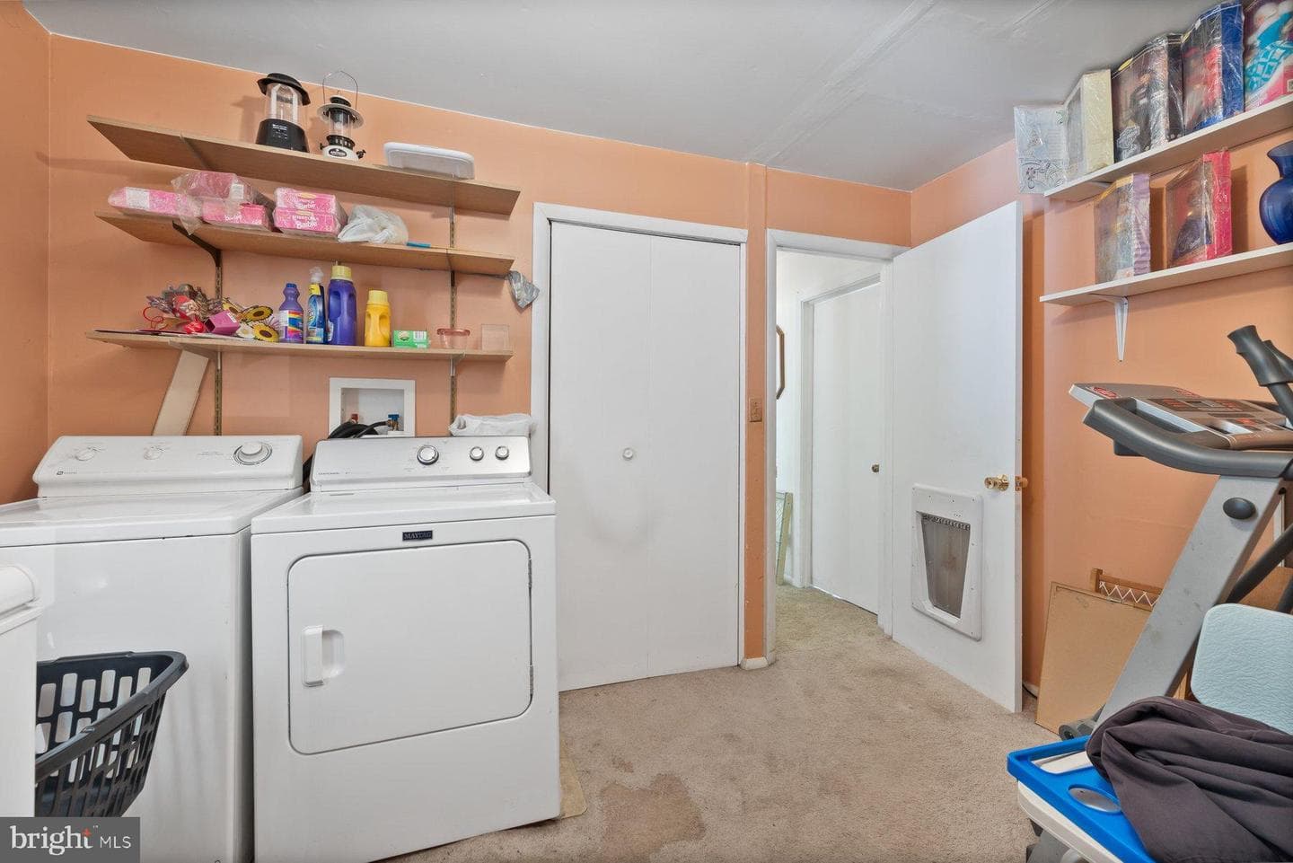 488 Bruce Avenue photo 15