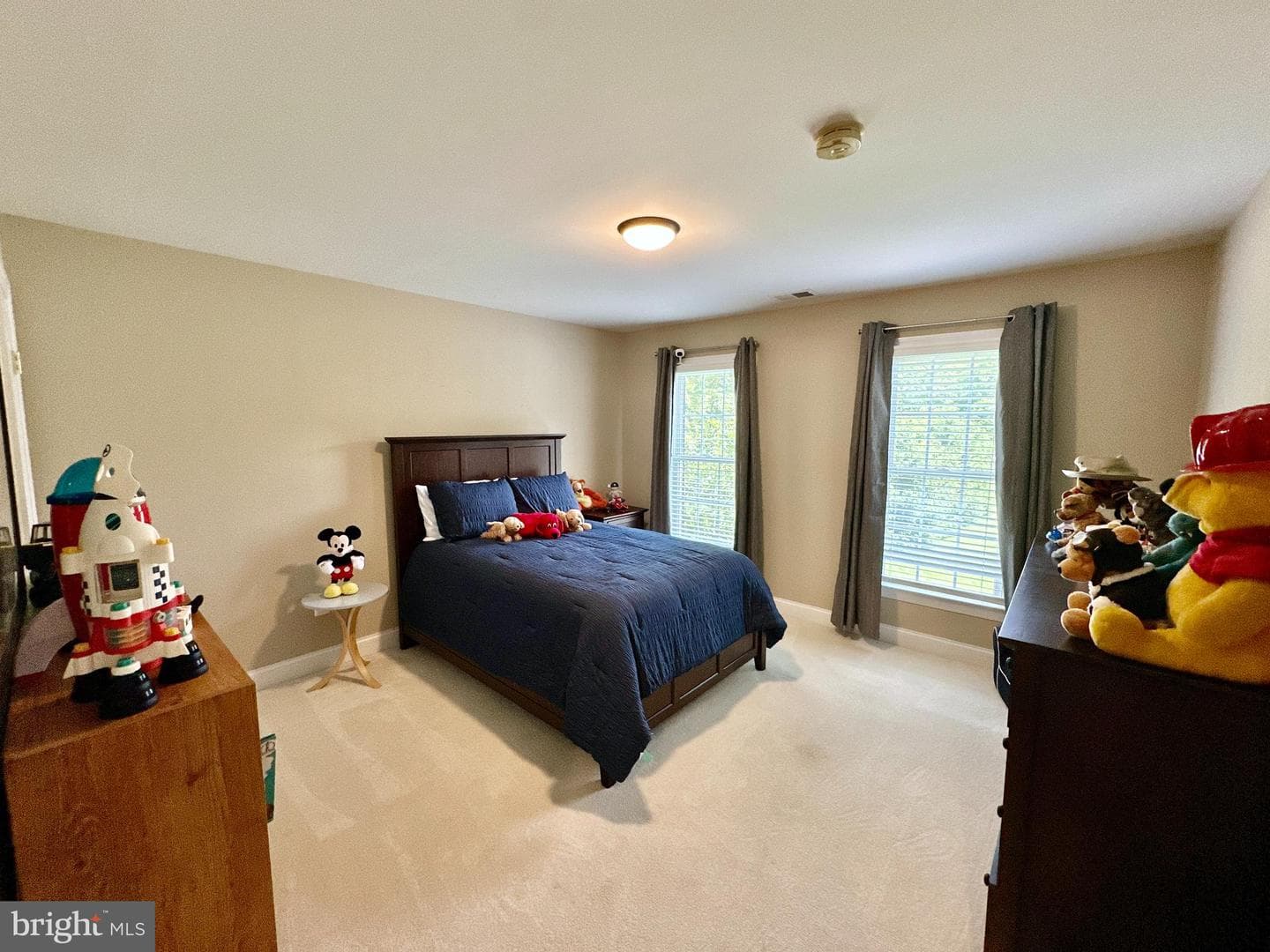 513 Broad Stream Lane photo 45