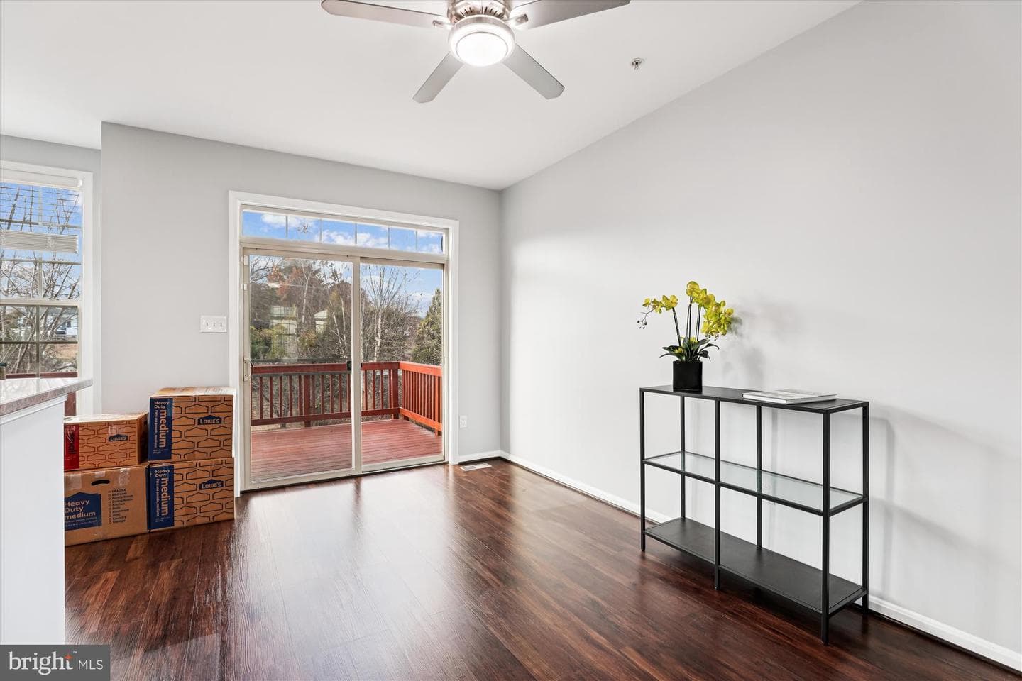 1110 Carinoso Circle photo 5