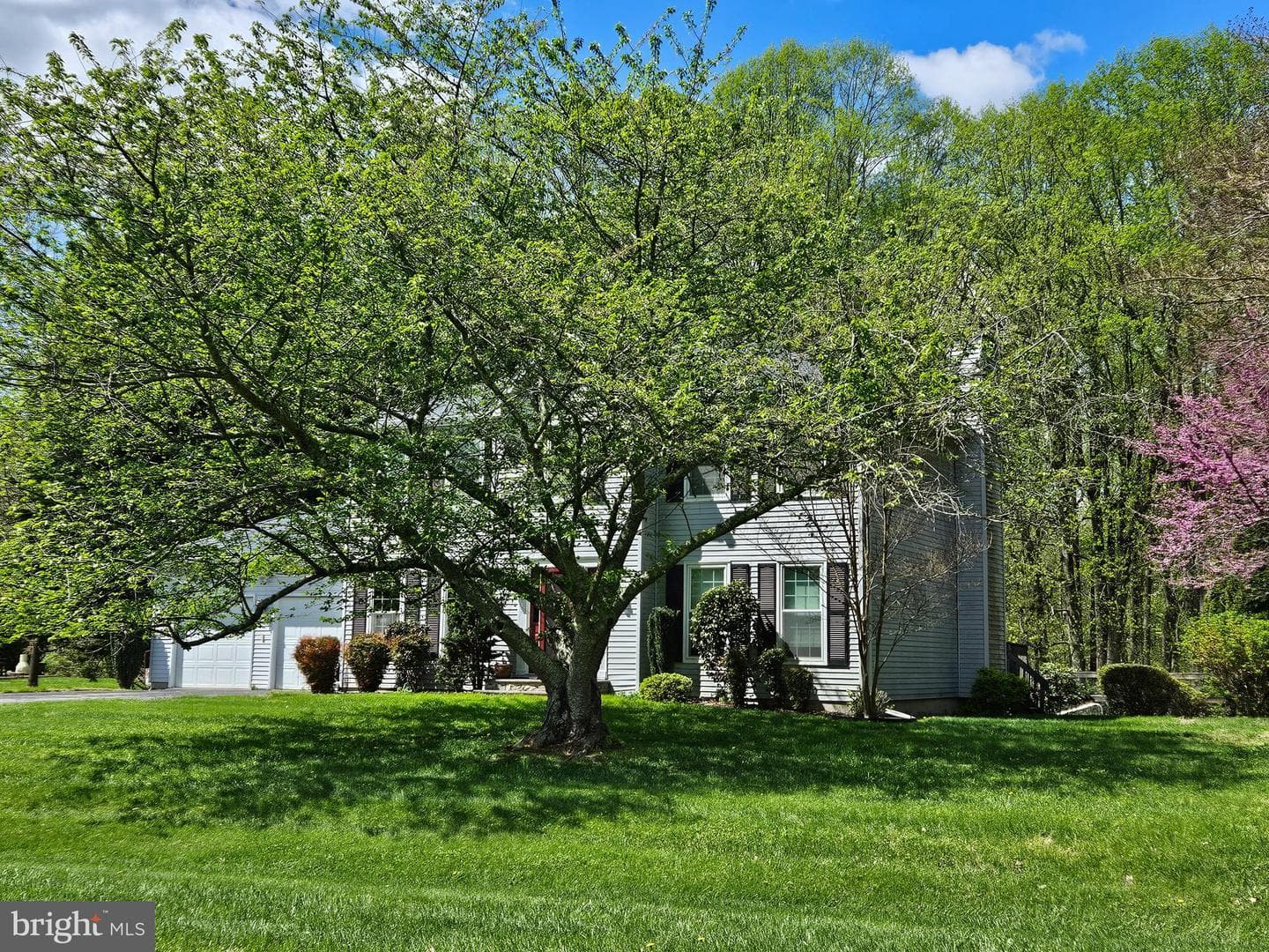 276 Southdale Court photo 19