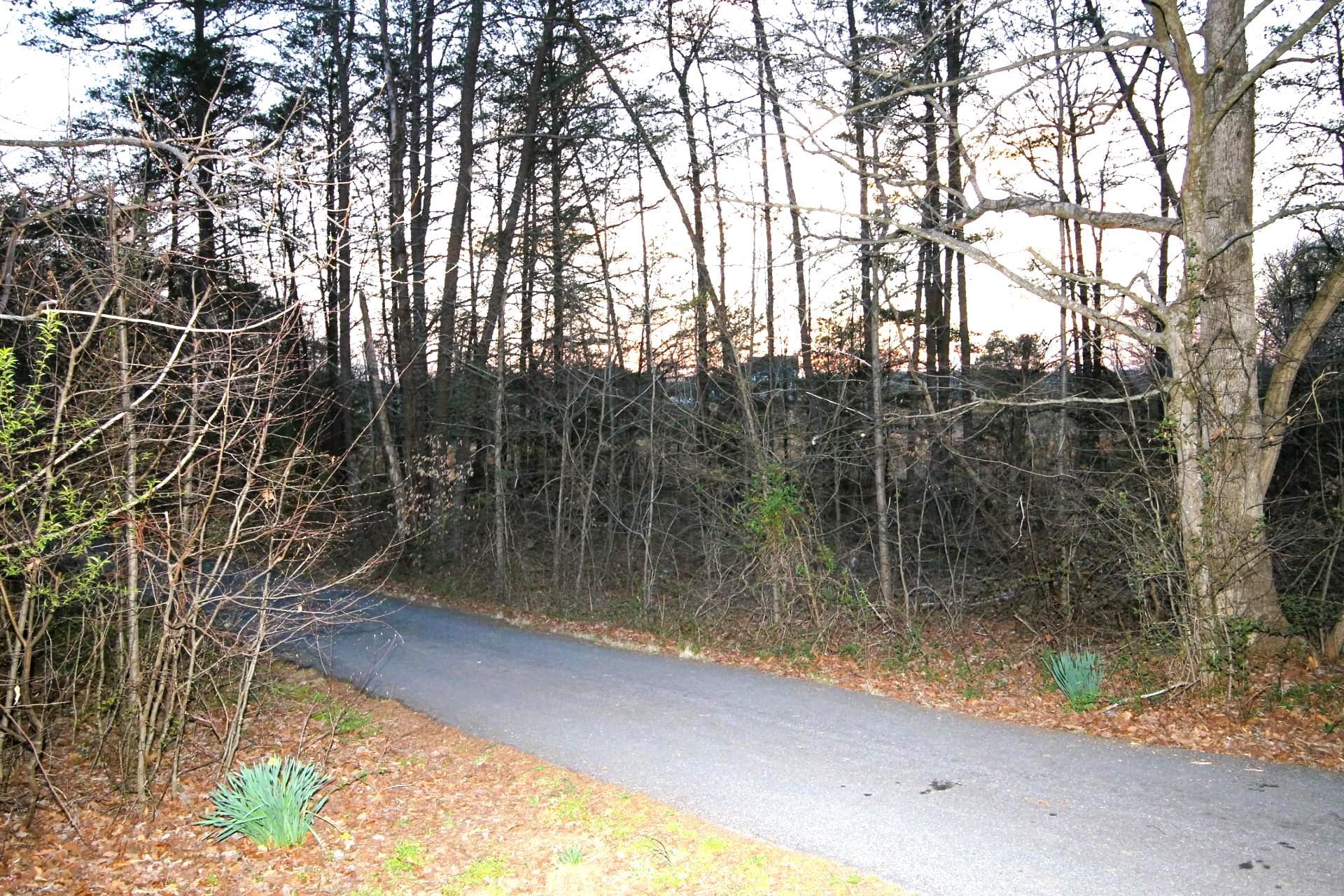 4695 Sands Road photo 46