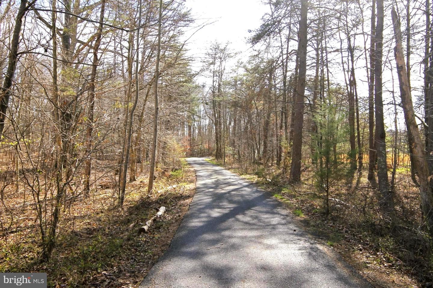 4695 Sands Road photo 5