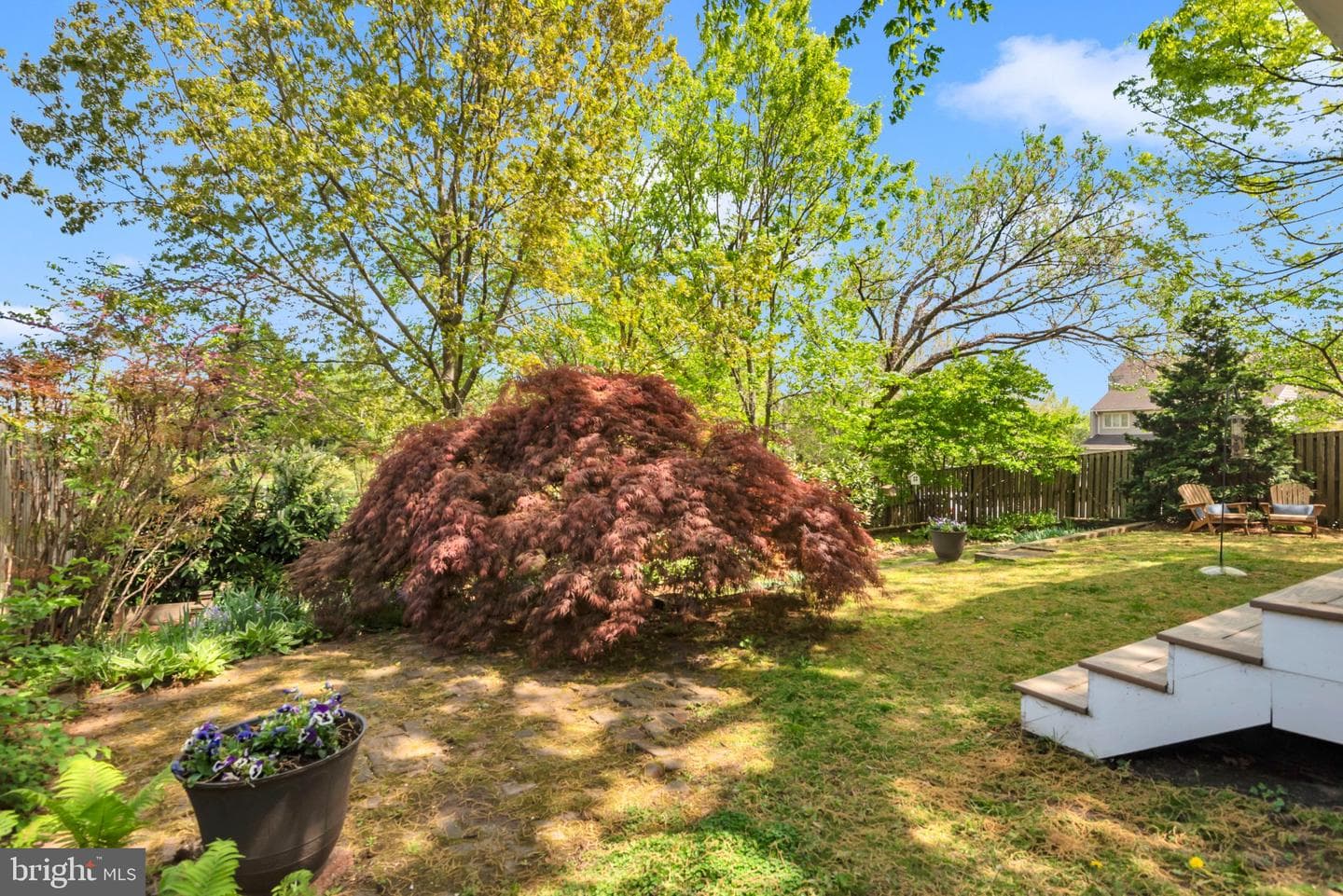 4 Southgate Avenue photo 105