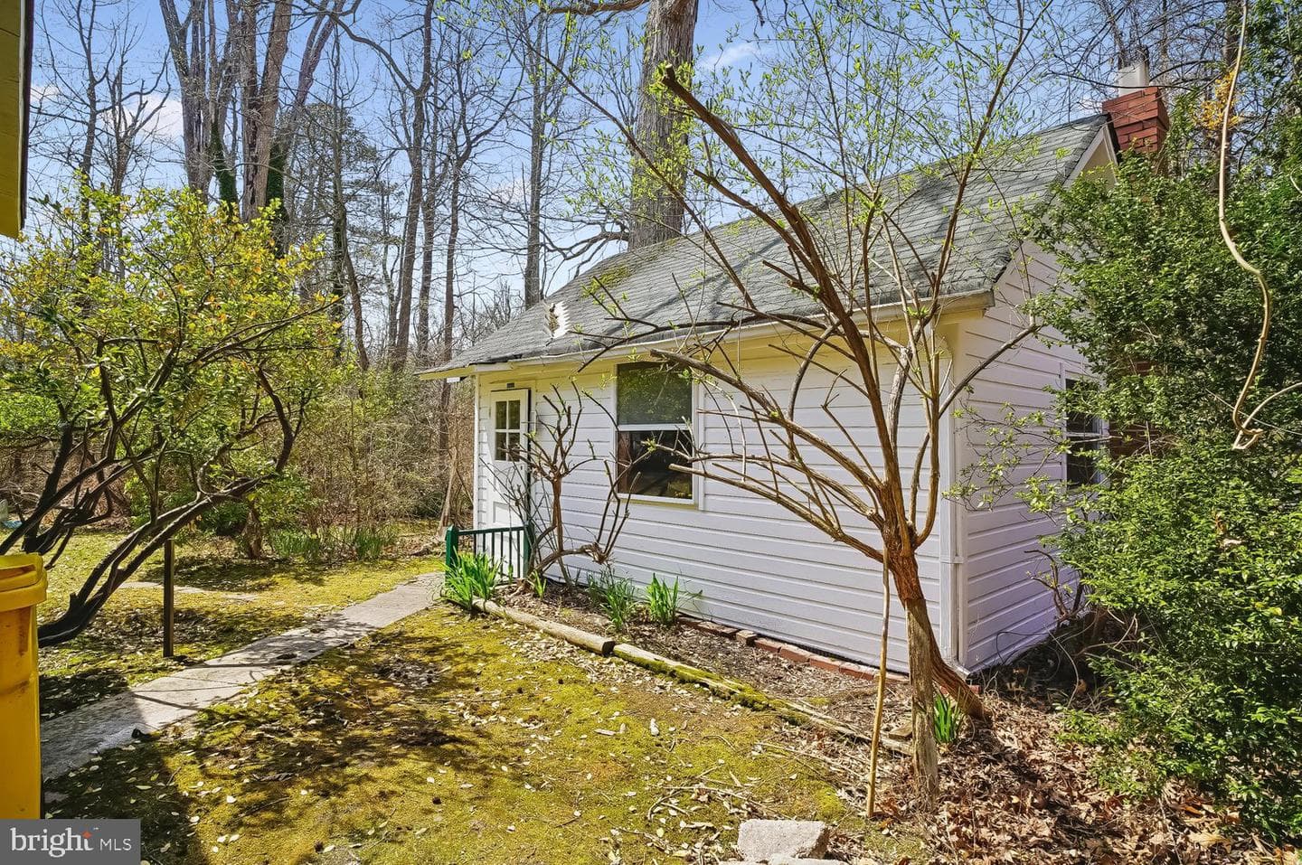 901 Walnut Avenue photo 37
