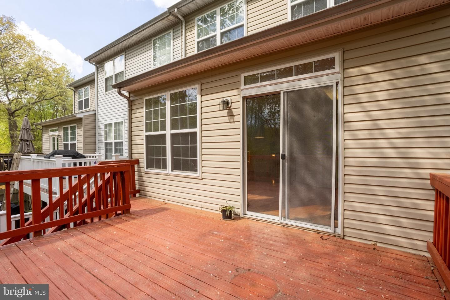 8031 Apple Valley Drive photo 5
