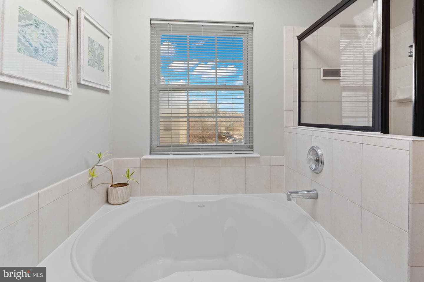 1010 Carbondale Way photo 49