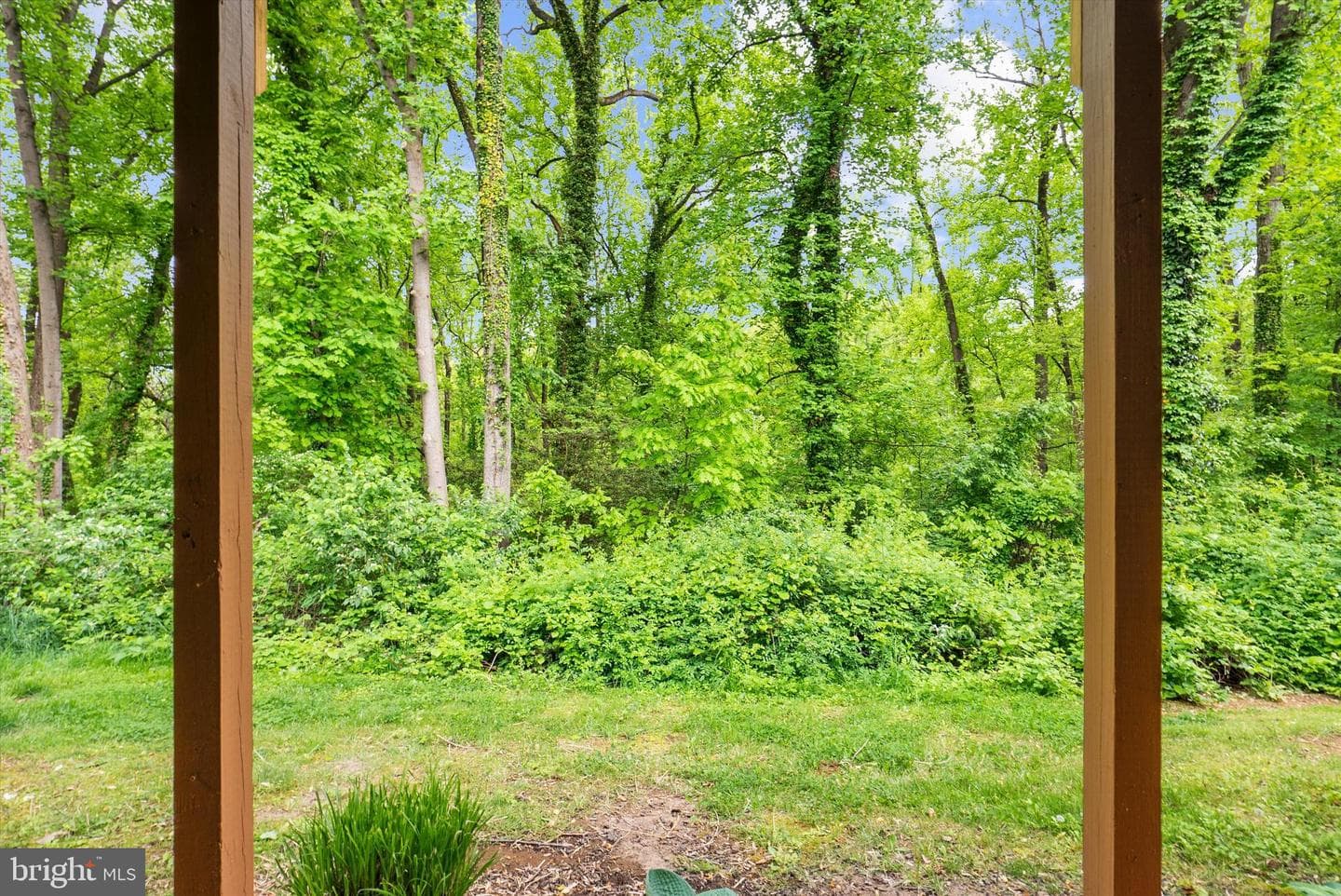 557 Bay Dale Court photo 48