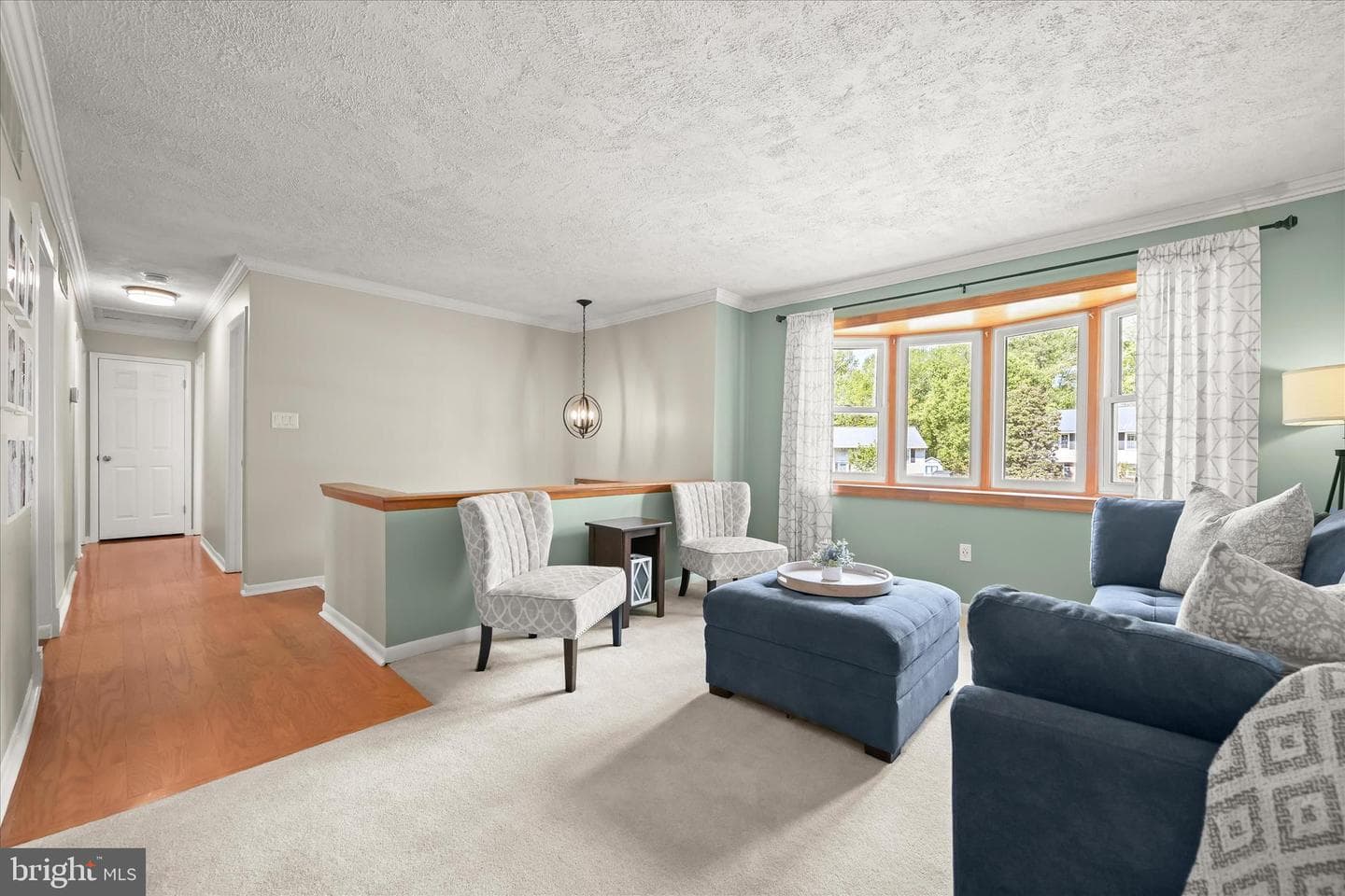 7533 Lemon Tree Court photo 3