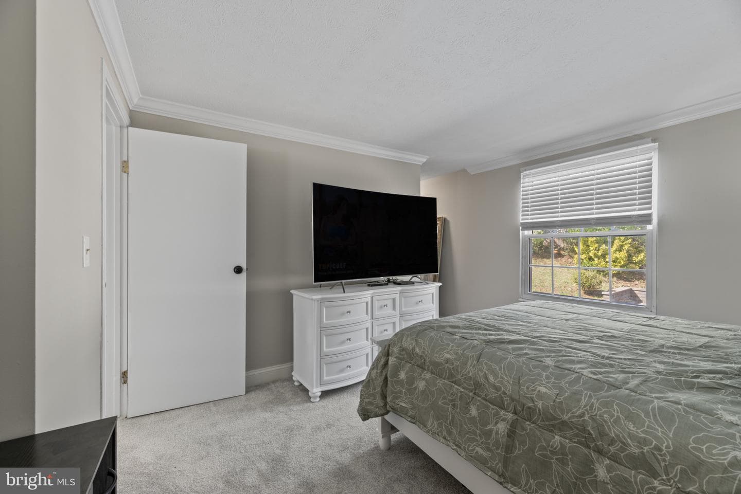 372 Blossom Tree Drive photo 15