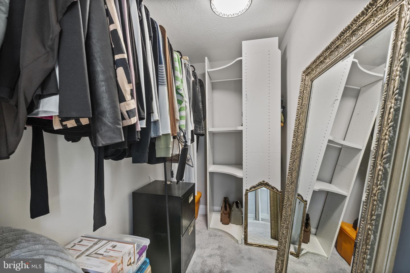 372 Blossom Tree Drive photo 18
