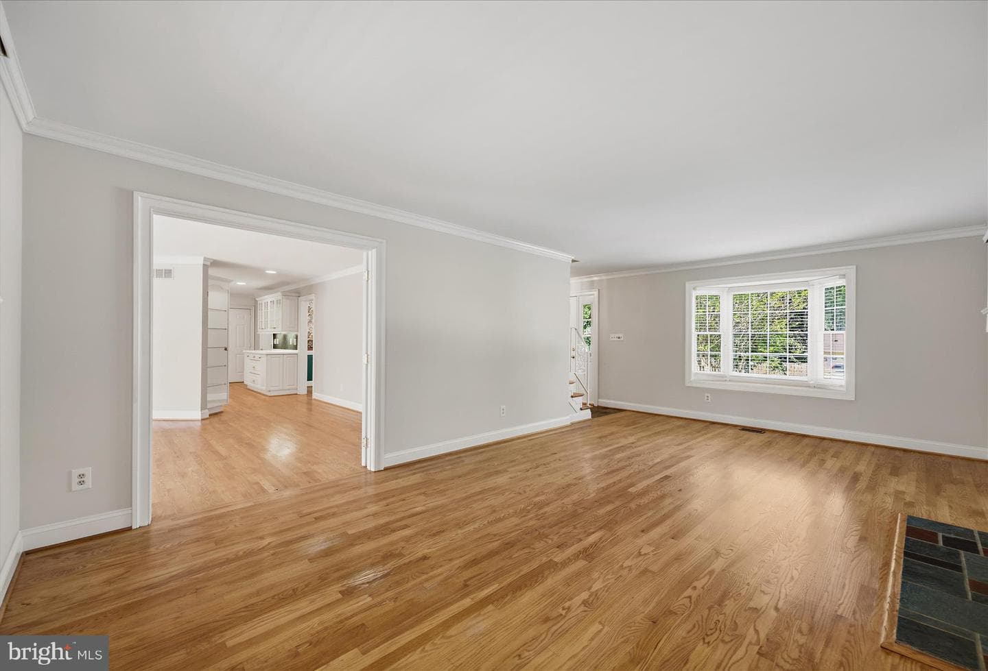 317 White Plains Court photo 19