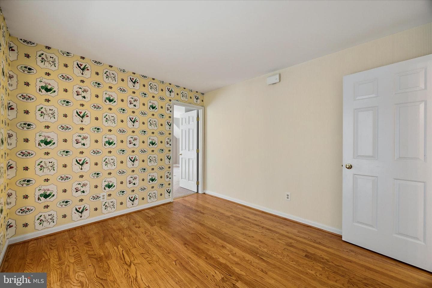 317 White Plains Court photo 36