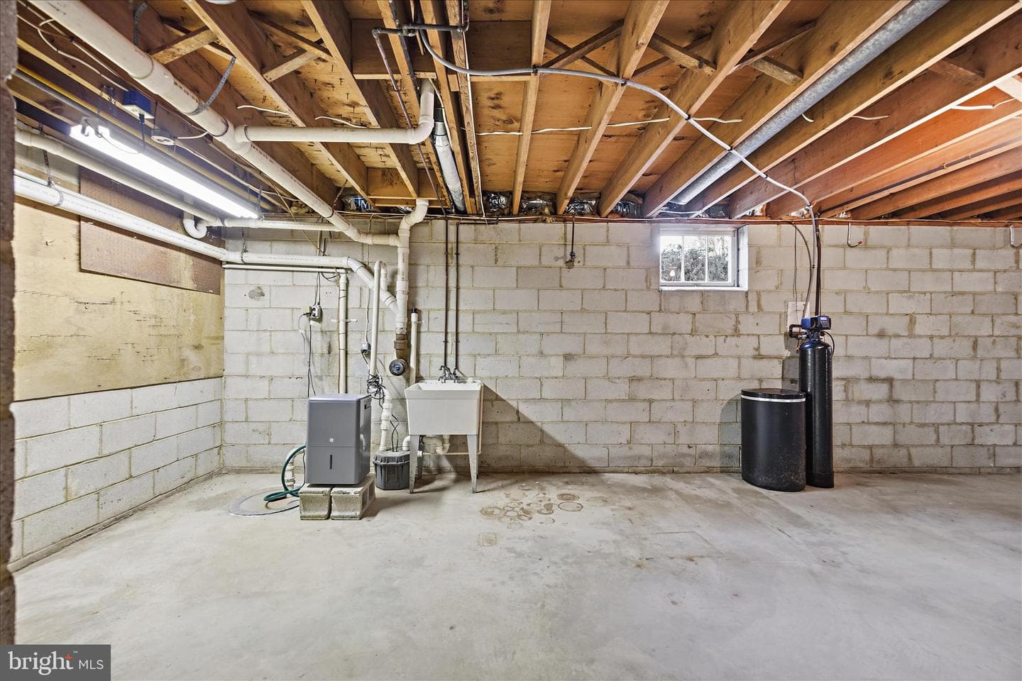 317 White Plains Court photo 50