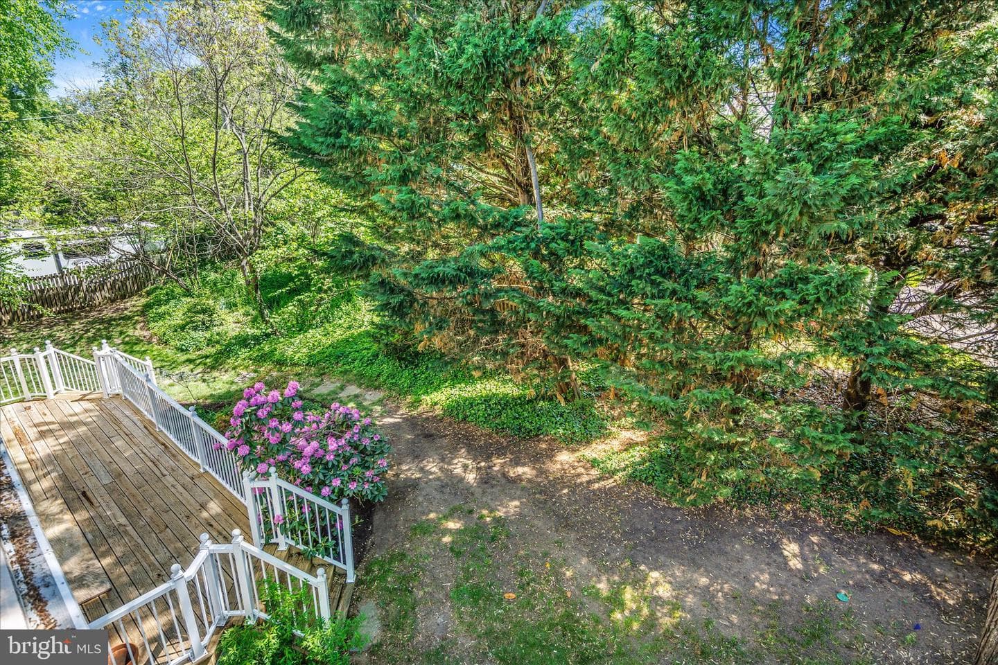 317 White Plains Court photo 56