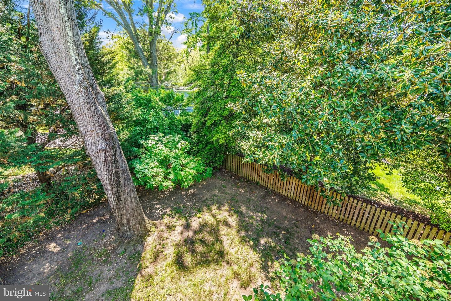 317 White Plains Court photo 57