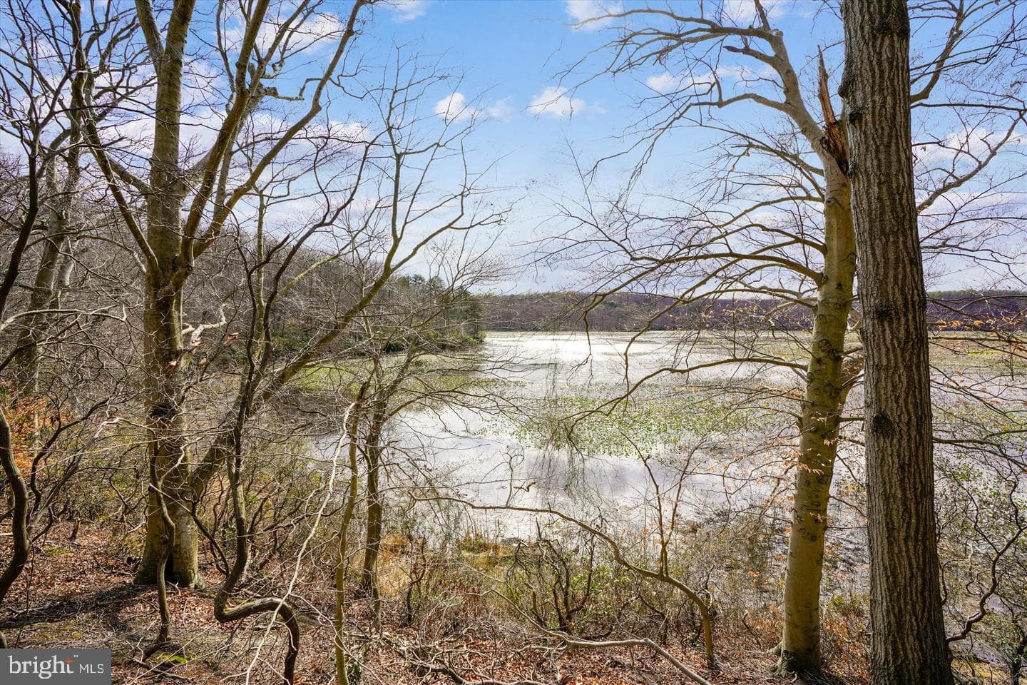 3557 Floating Leaf Lane #f202 photo 25