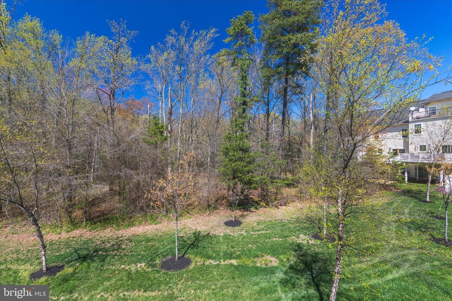 1038 Pultney Lane photo 36