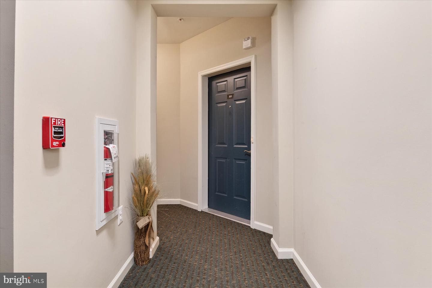 1412 Wigeon Way #301 photo 3