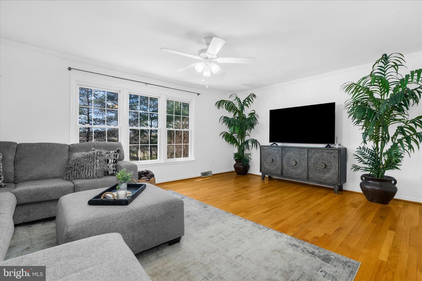 1480 Carlyle Court #109 photo 3