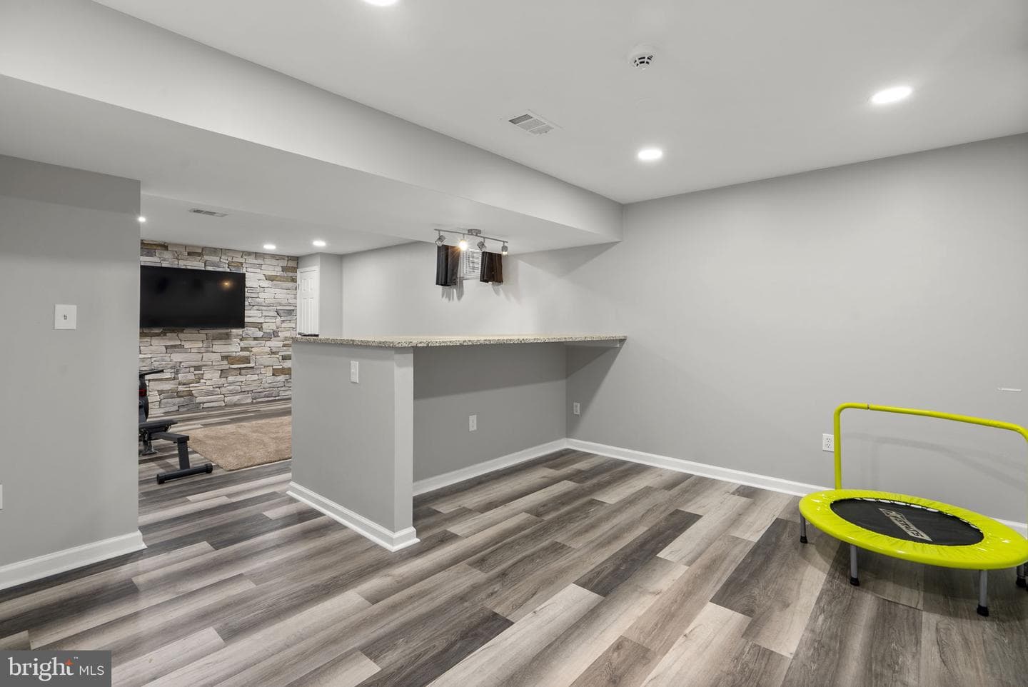 1703 Grey Birch Court photo 38