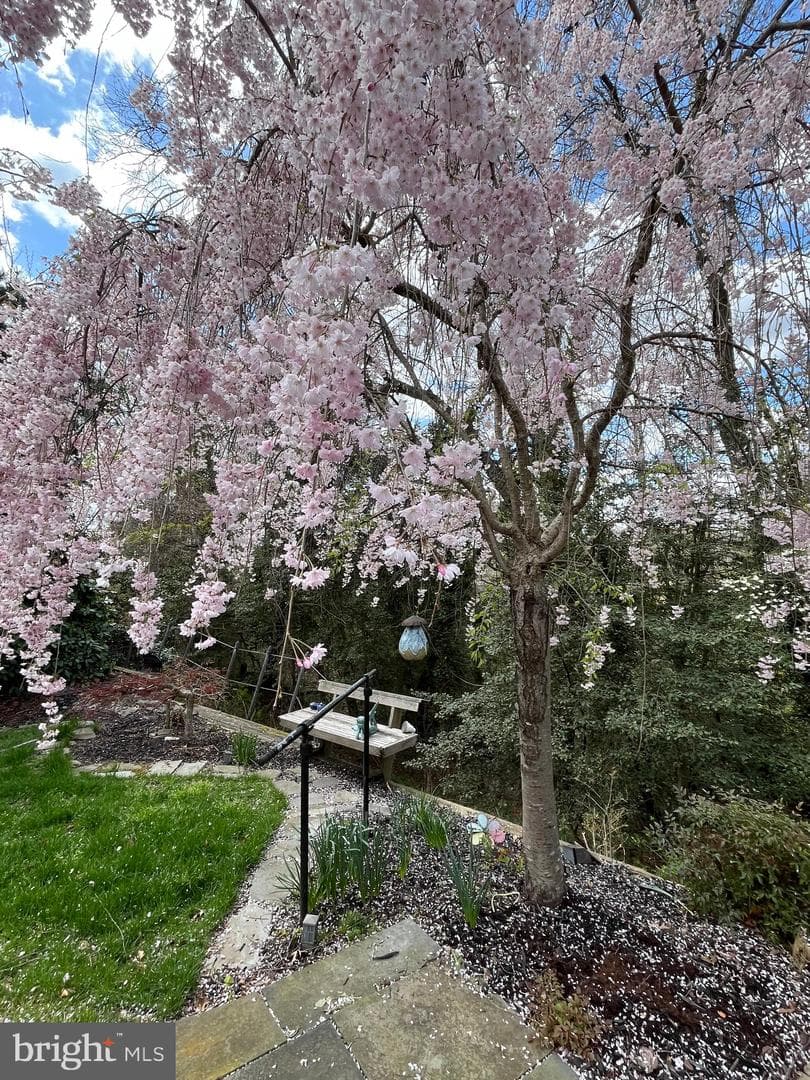 561 Arundel Drive photo 48