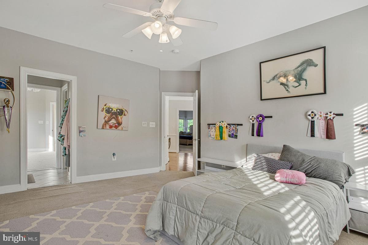 27 Hunting Court photo 47