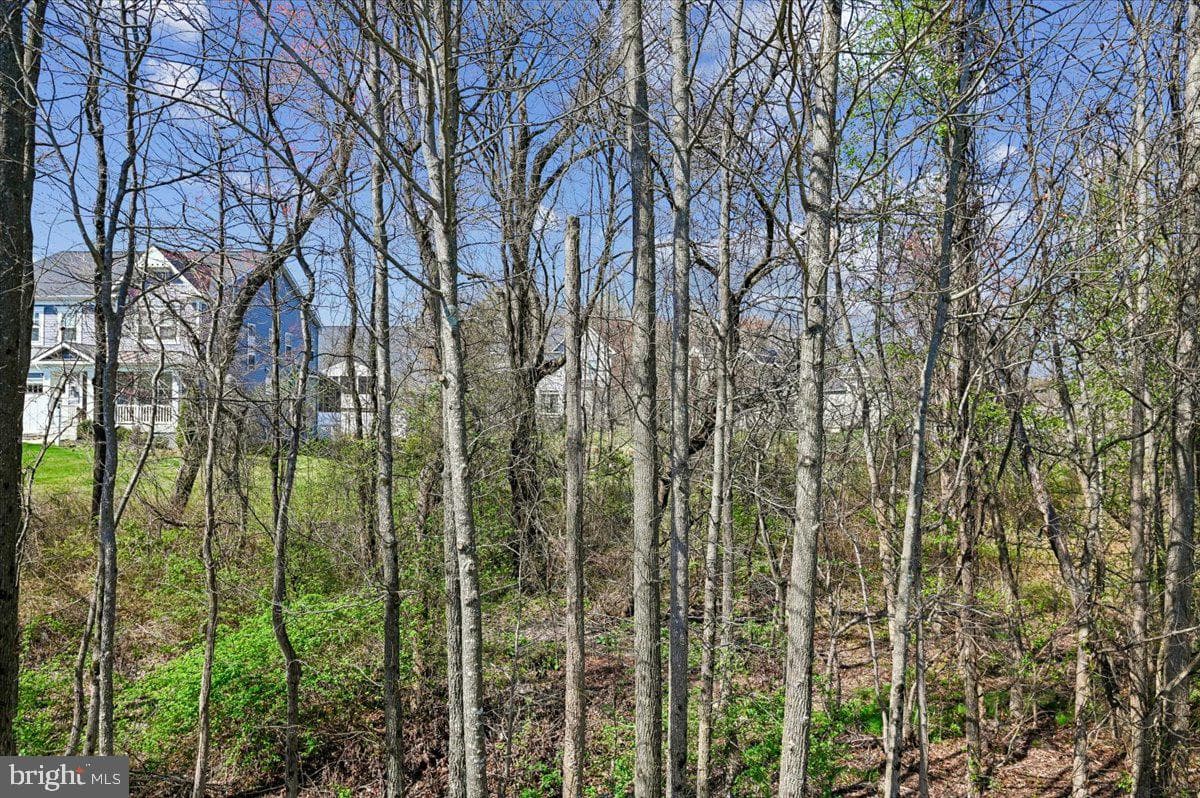8122 Neidert Drive photo 80