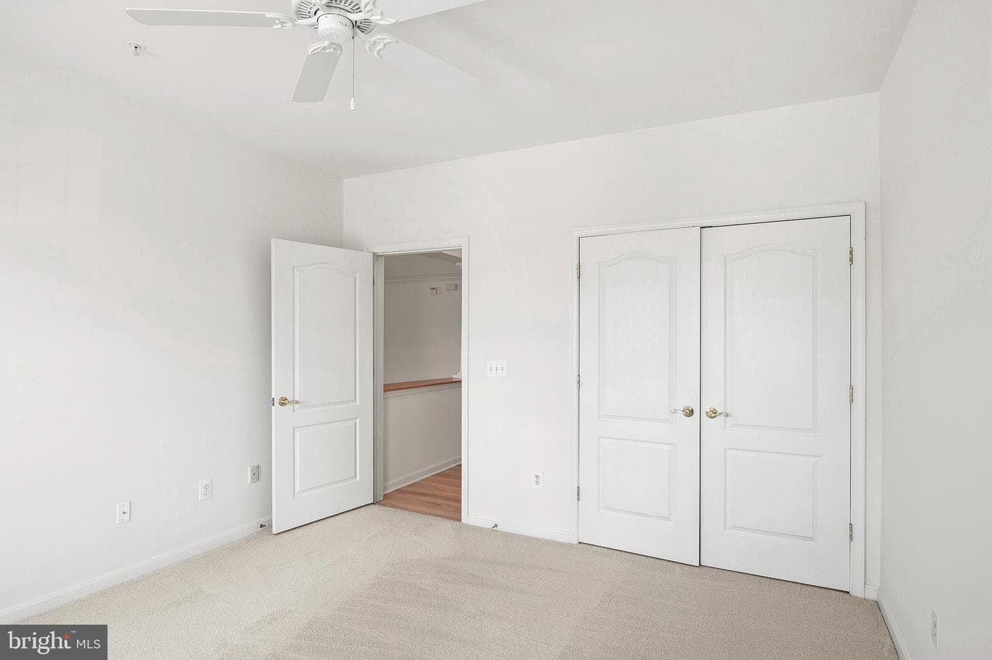 8605 Wandering Fox Trail #203 photo 20