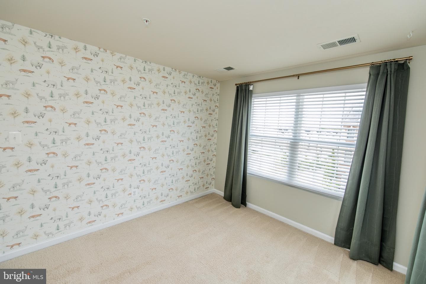8609 Red Rock Lane photo 47