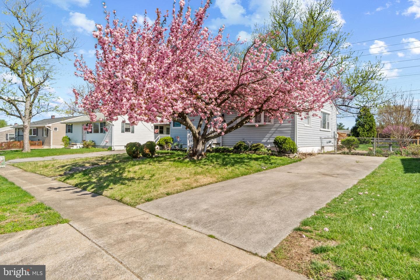 1633 Tieman Drive photo 2