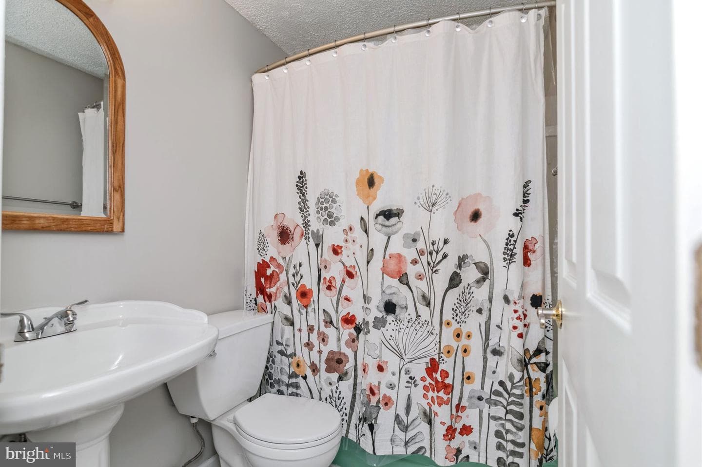 224 Carroll Road photo 33