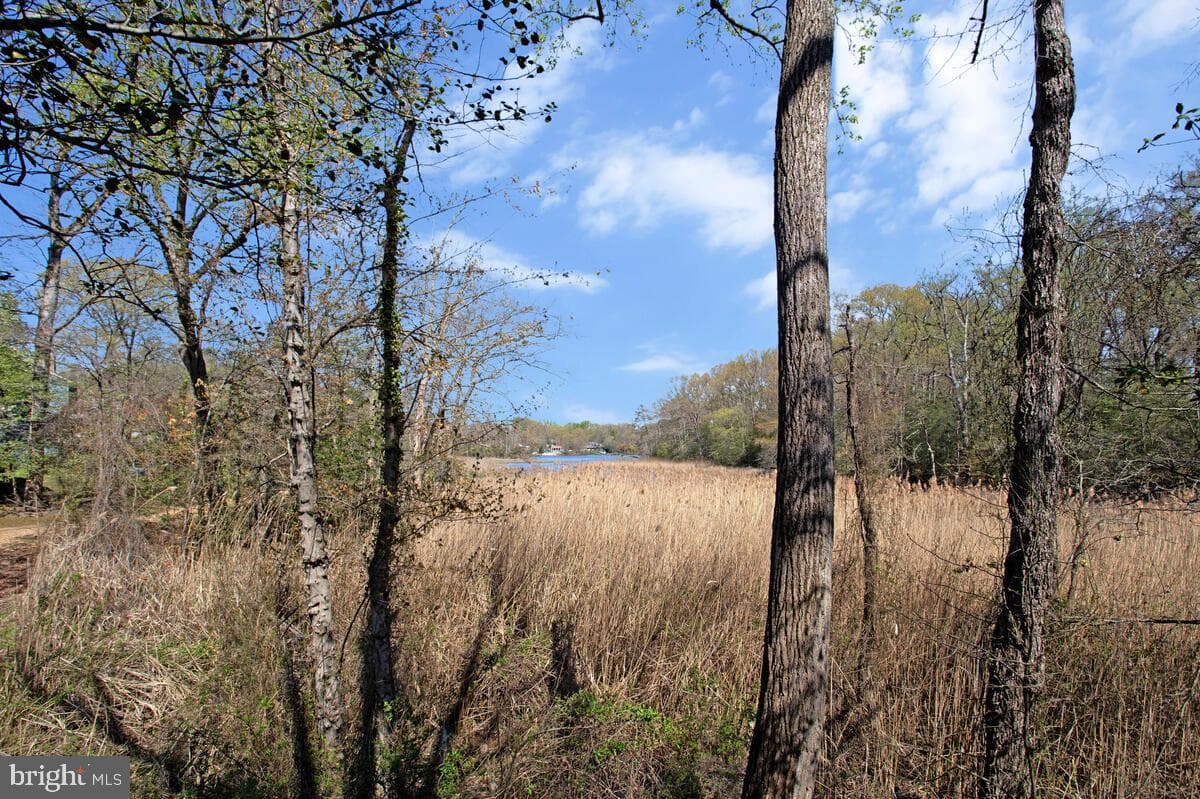 560 Herons Nest photo 32