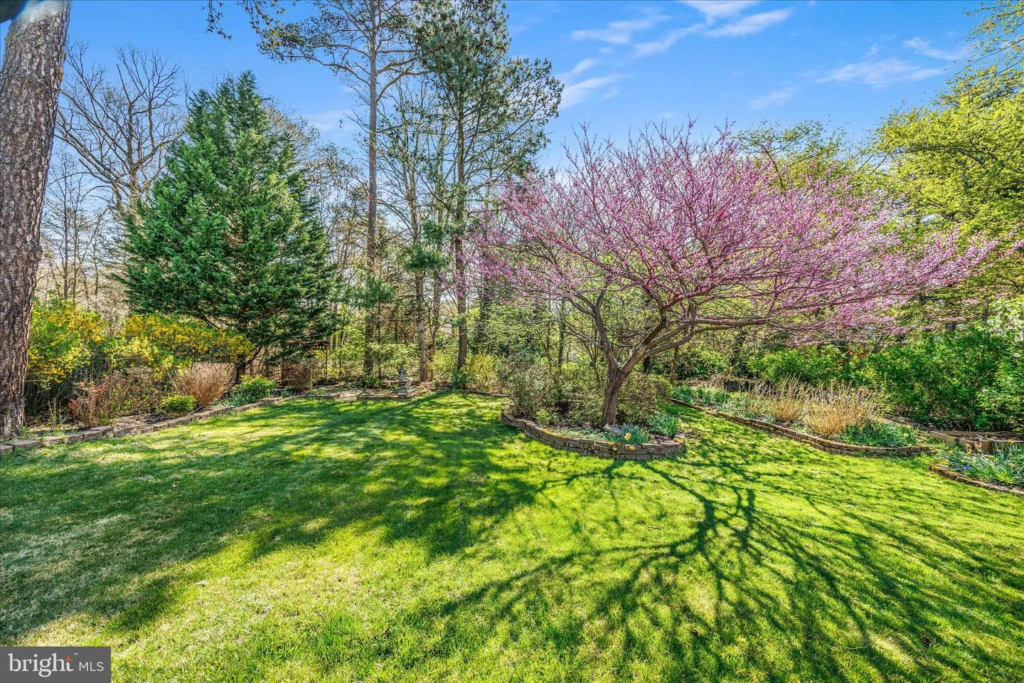 335 Butternut Court photo 55