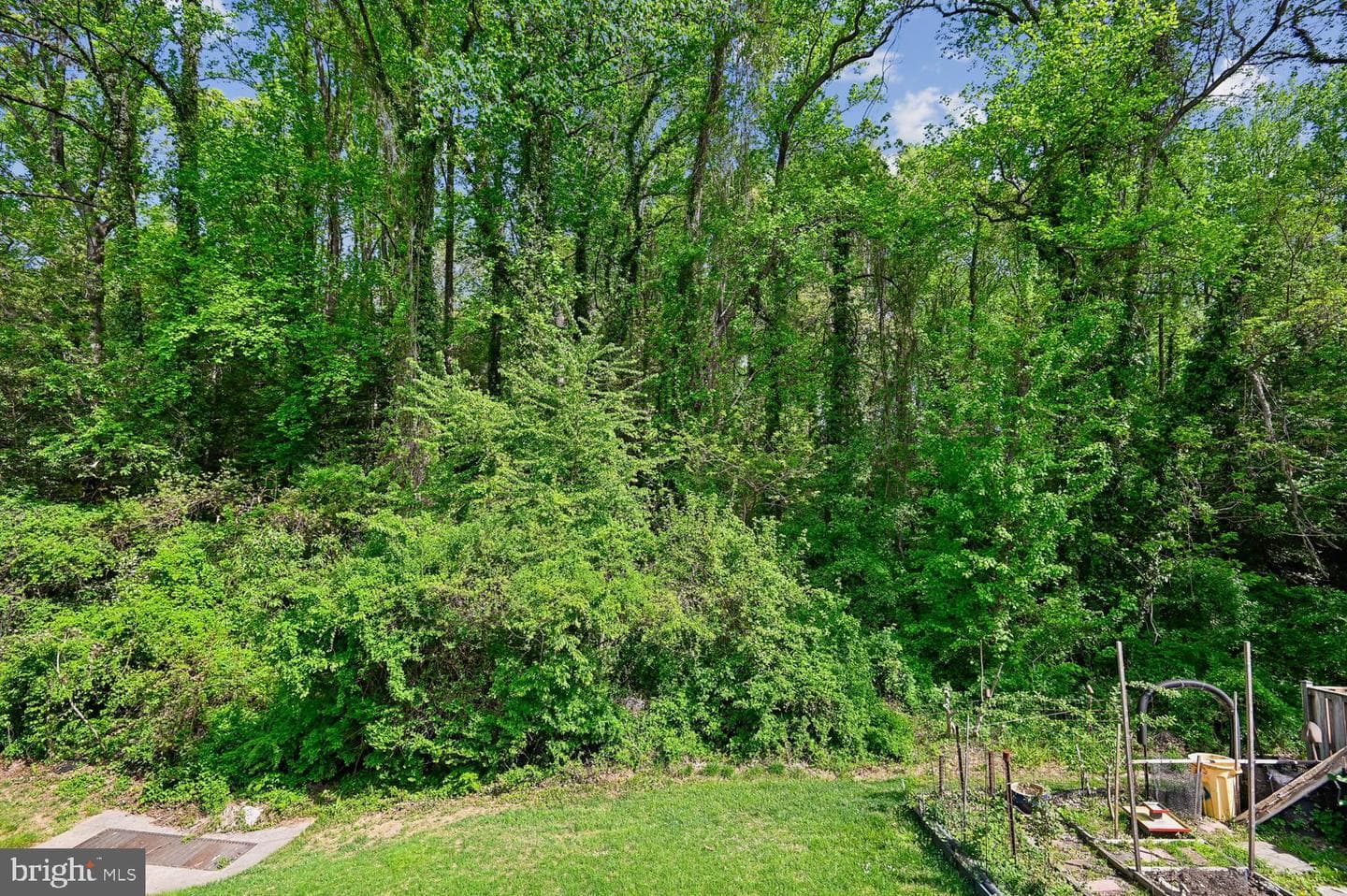 434 Peach Court photo 3