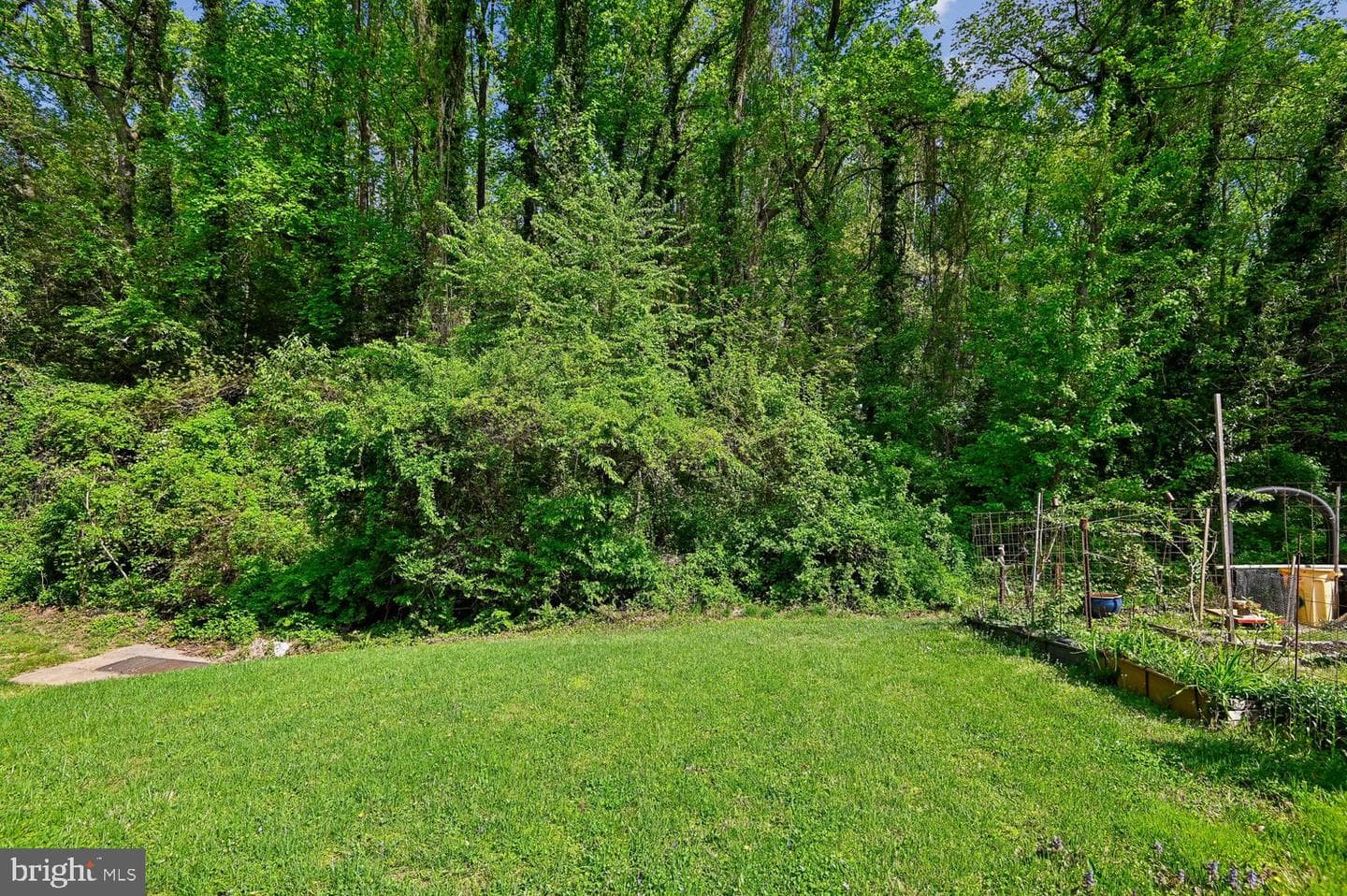 434 Peach Court photo 58
