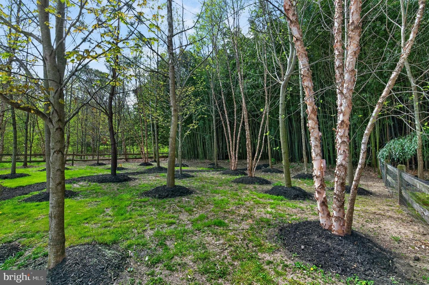 38 Kleis Road photo 45
