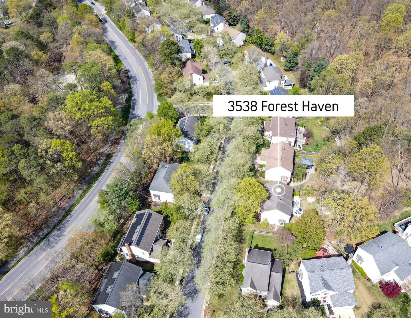 3538 Forest Haven Drive photo 67