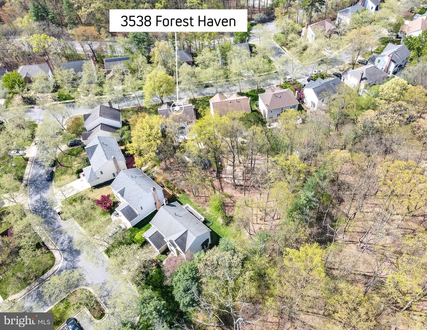3538 Forest Haven Drive photo 70