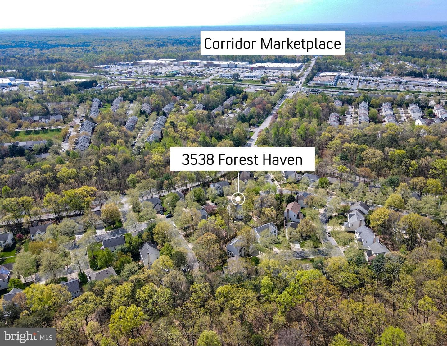 3538 Forest Haven Drive photo 71
