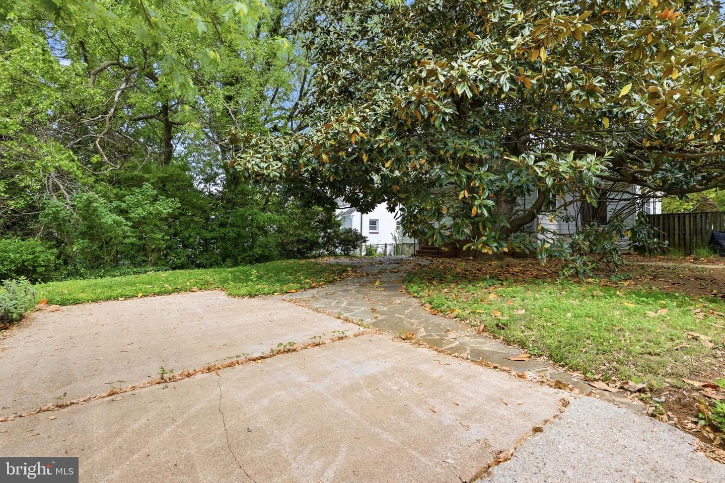 411 Ludlow Road photo 37