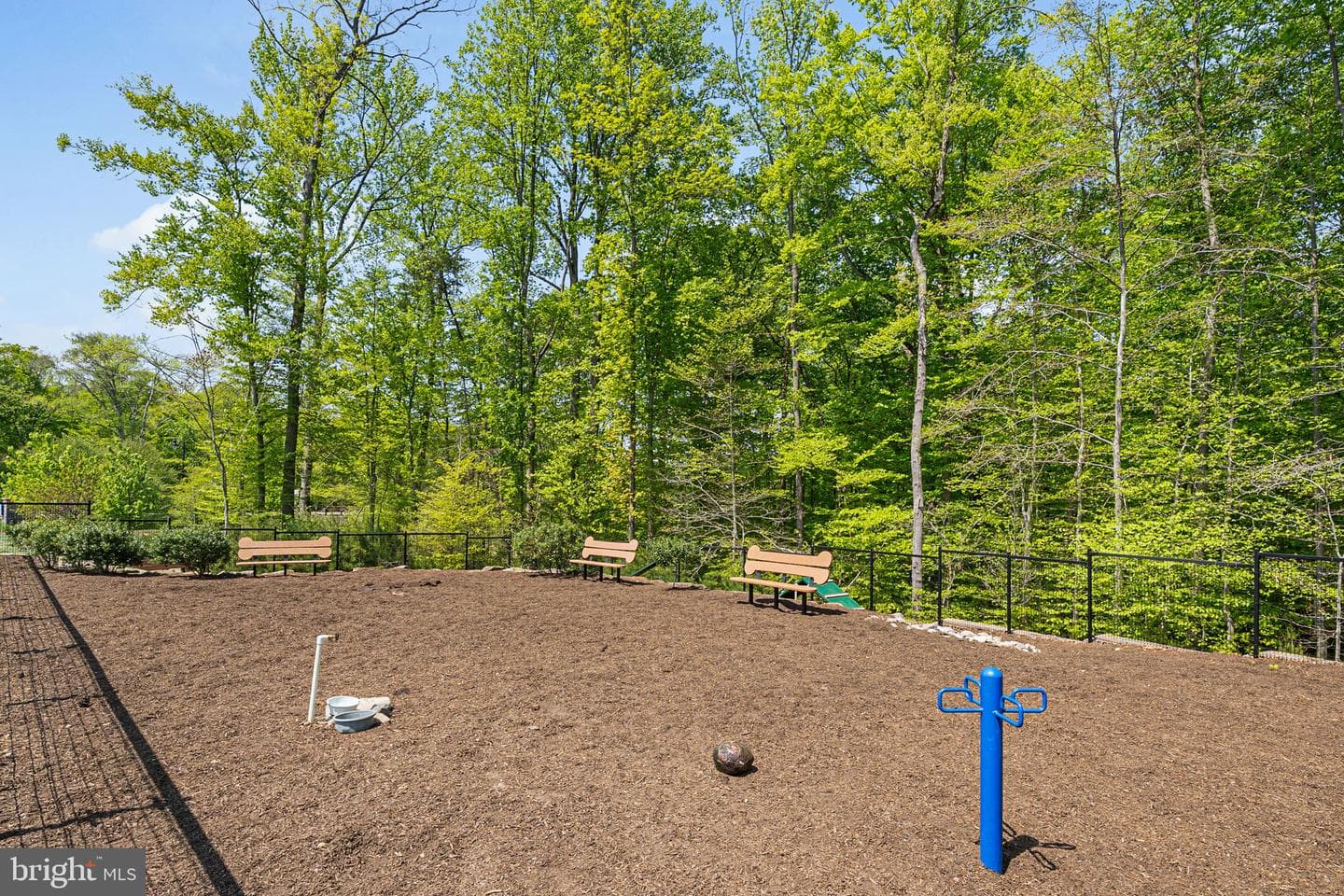 222 Narrowleaf Way photo 47