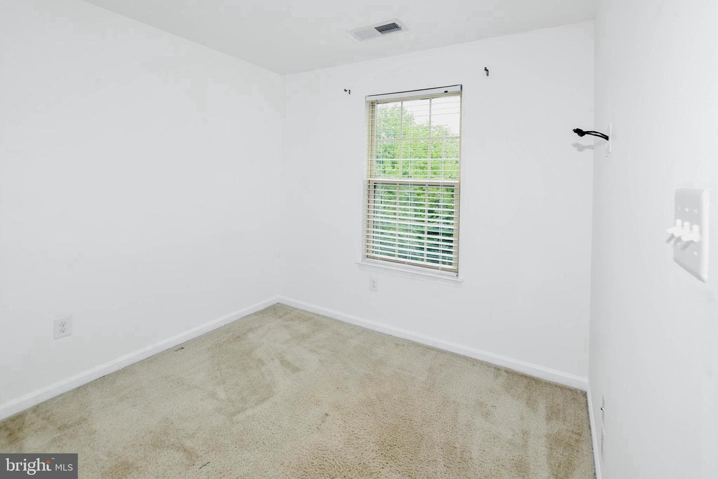 324 Eagles Ridge Way photo 40