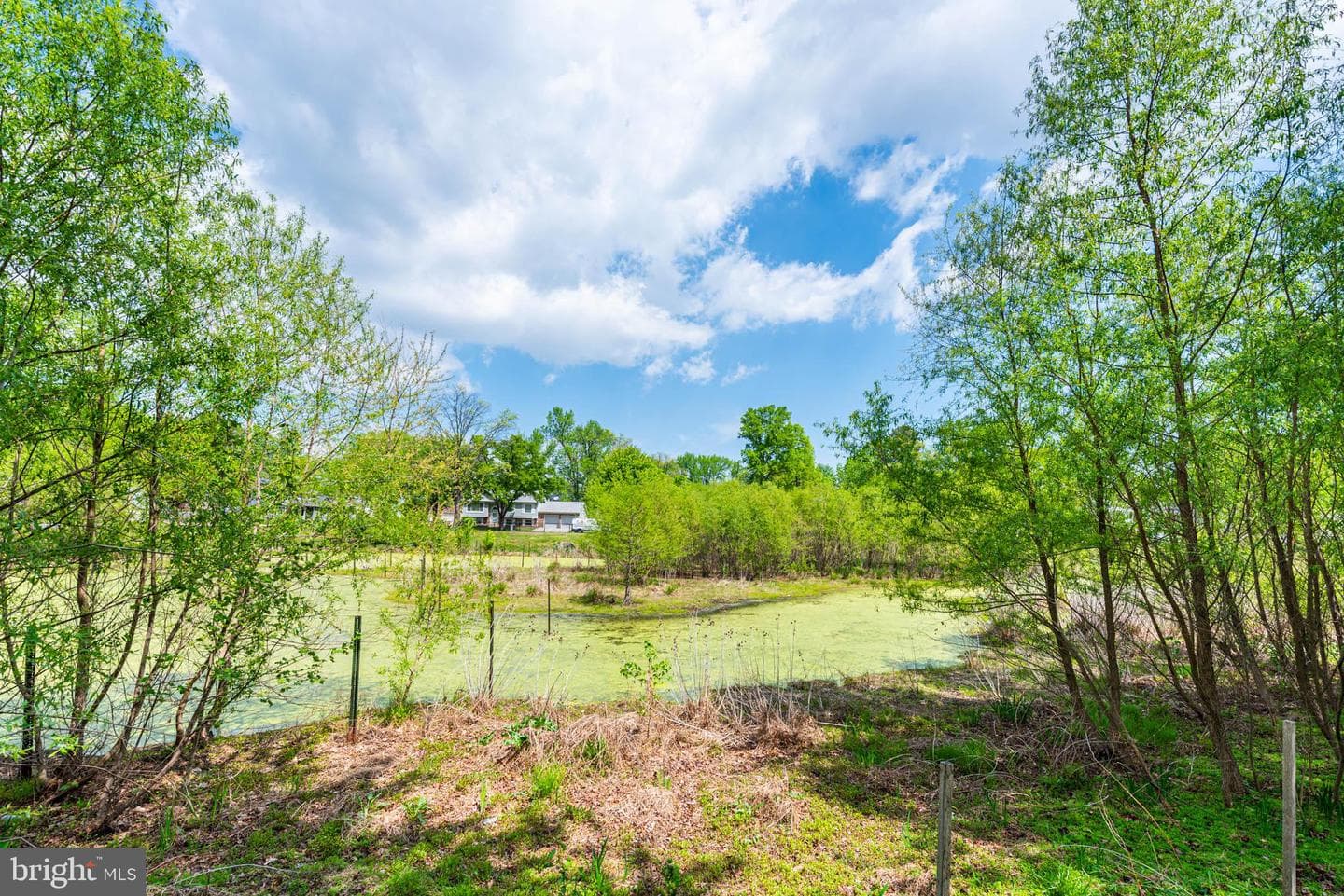 7674 Tuckerman Drive photo 46