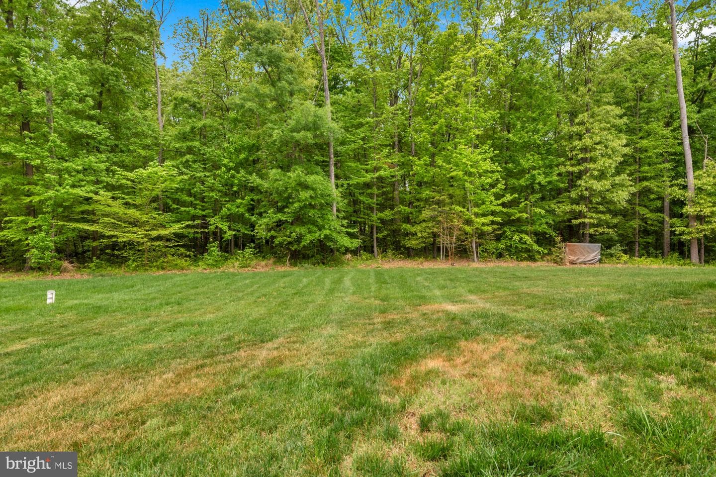 505 Brewerton Lane photo 52