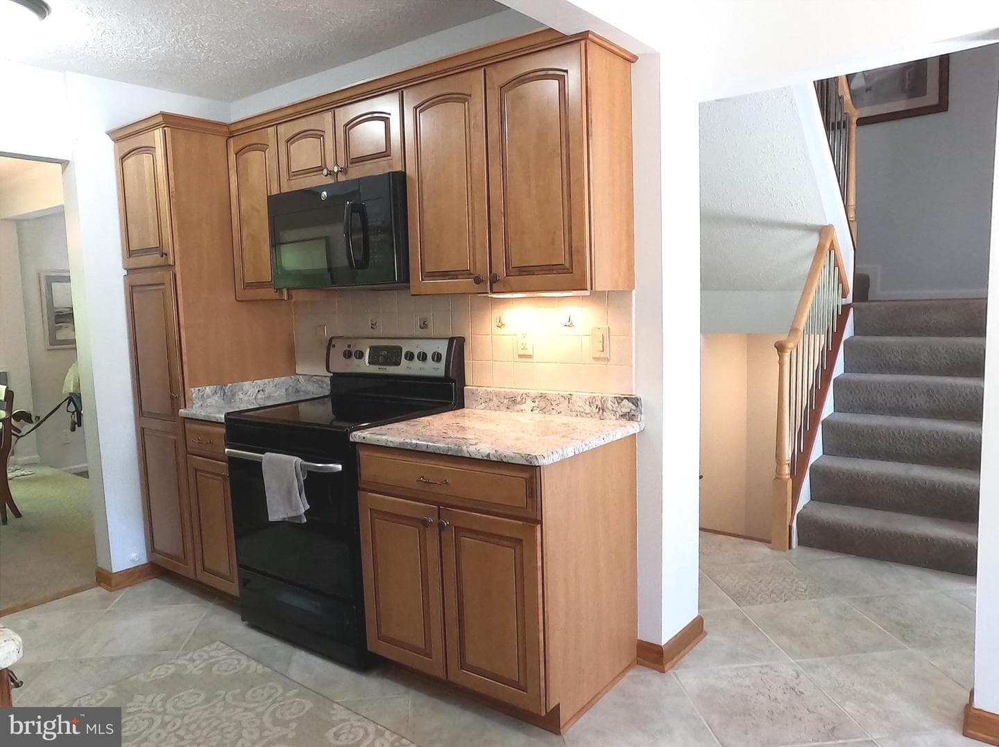1802 Lang Drive photo 14
