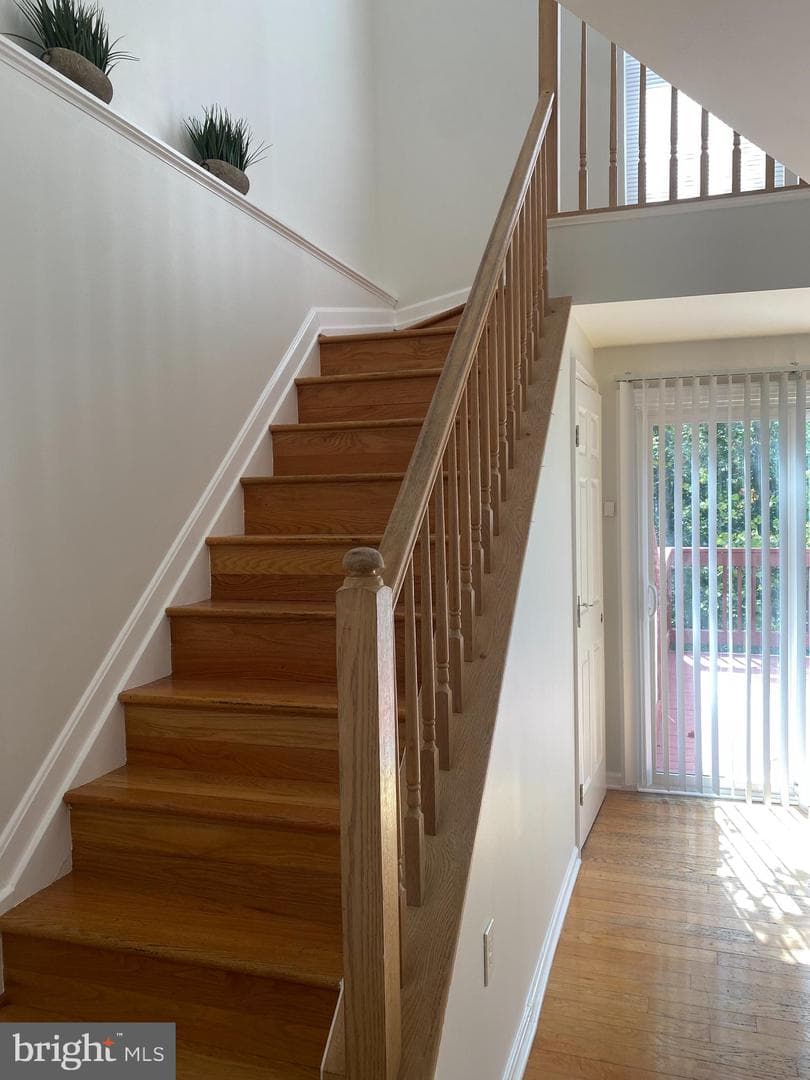 3436 Littleleaf Place photo 5