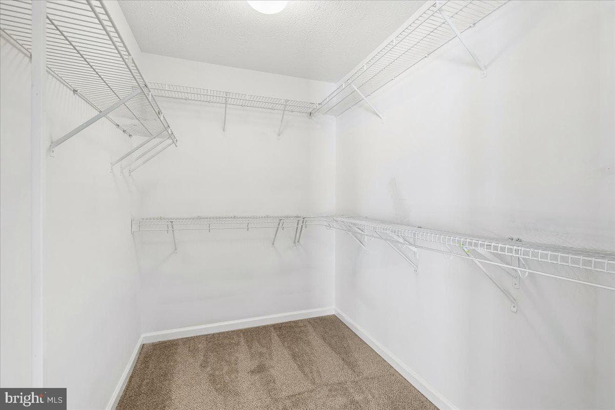 3220 Orient Fishtail Road photo 26