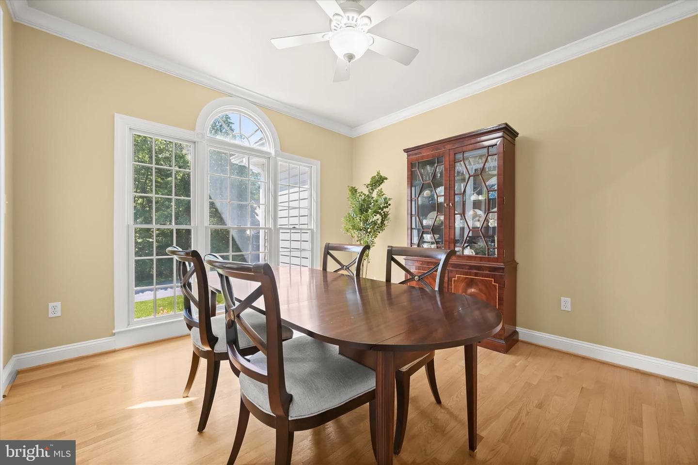 108 Solomons Ridge Court photo 6